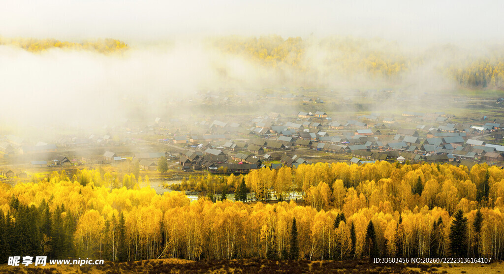 秋日山林晨雾美景
