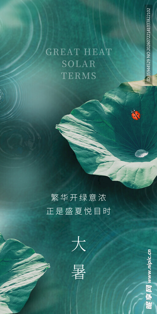 大暑时节荷叶上的灵动景象