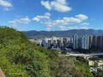 山巅俯瞰城市风光