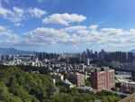城市天际线与葱郁山林