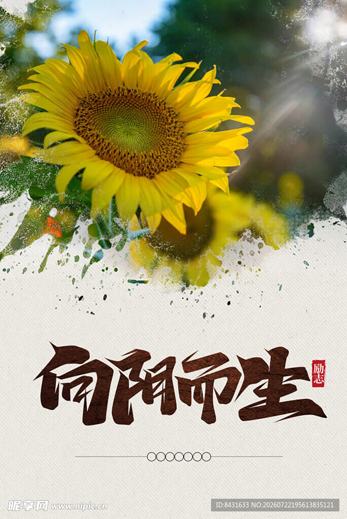向阳而生的灿烂向日葵