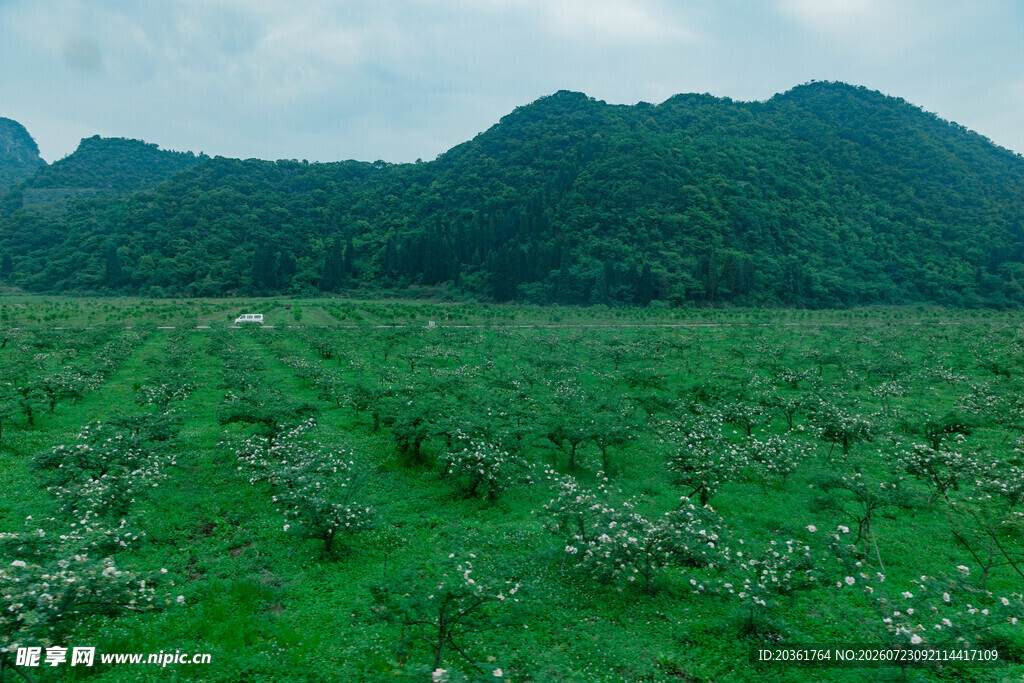 绿野青山间的自然美景