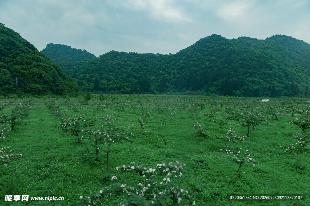 绿野青山间的自然美景