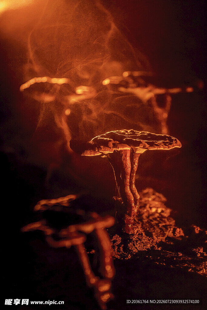 梦幻蘑菇云特效场景