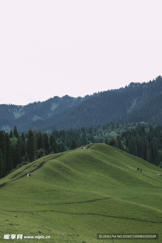 翠绿山丘间的自然美景