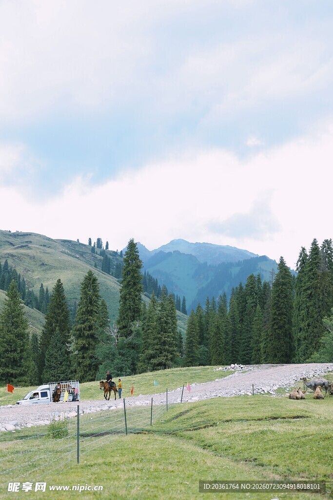 山间公路旁的开阔草地