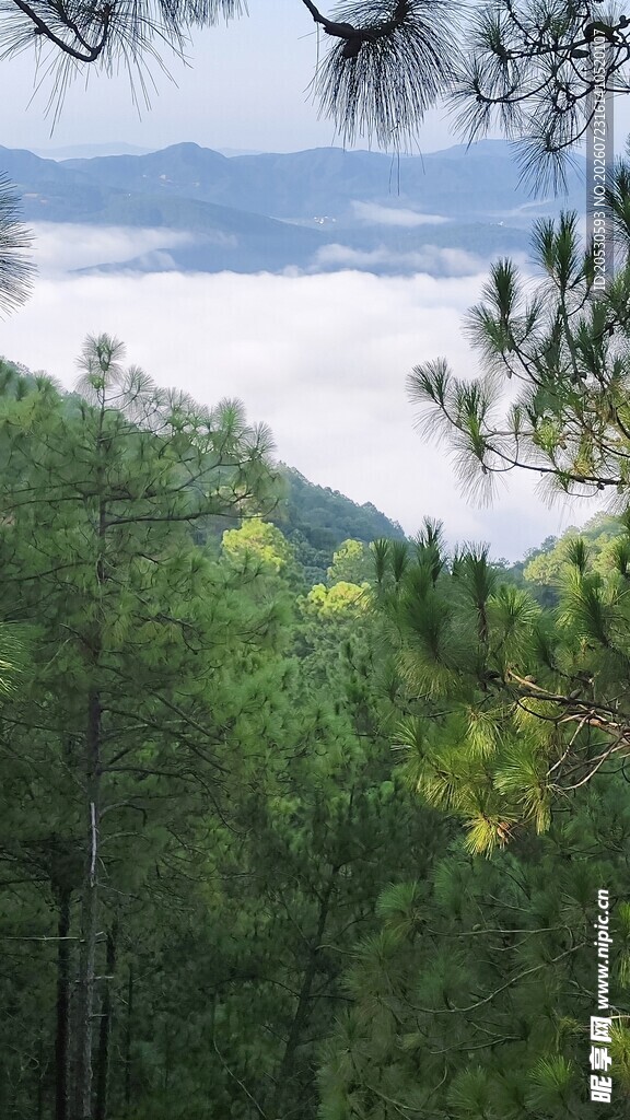 山林云海间的自然美景