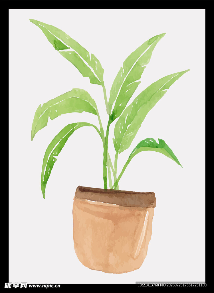 盆栽绿植水彩画