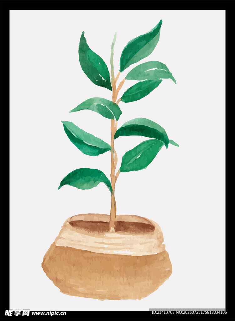 盆栽绿植插画