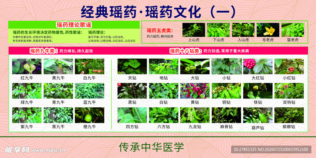 中医  瑶药文化