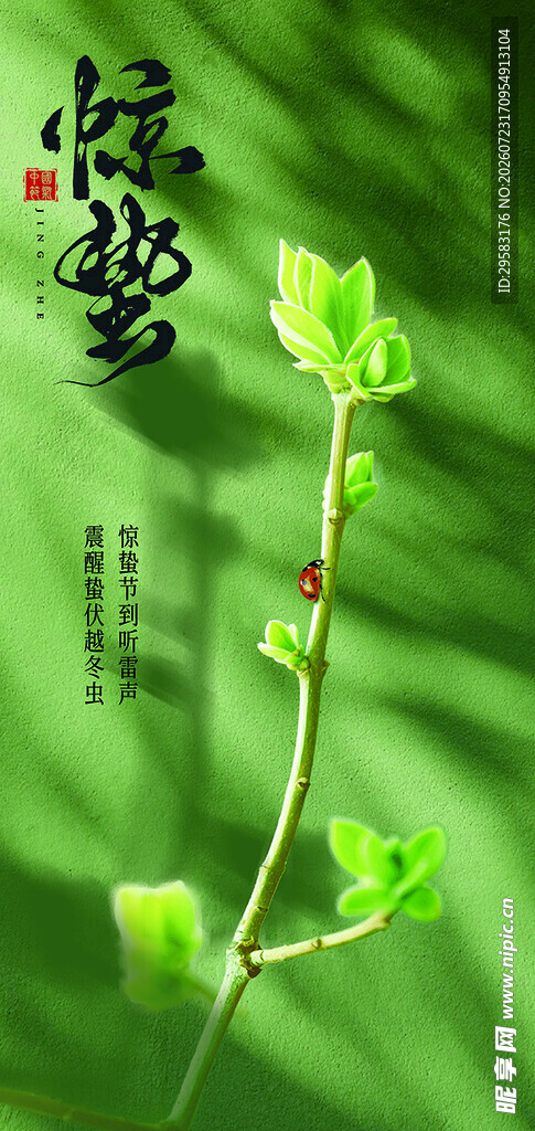 春天 惊蛰
