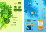 生菜芒果海报 