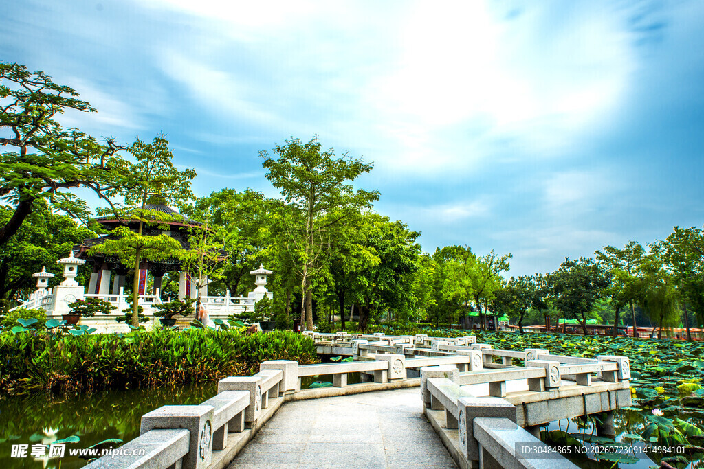 中式园林荷塘木桥美景