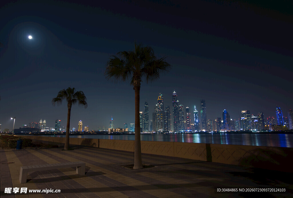 夜晚海滨城市与棕榈树景观
