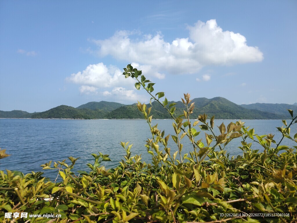 湖畔绿植与远山蓝天美景