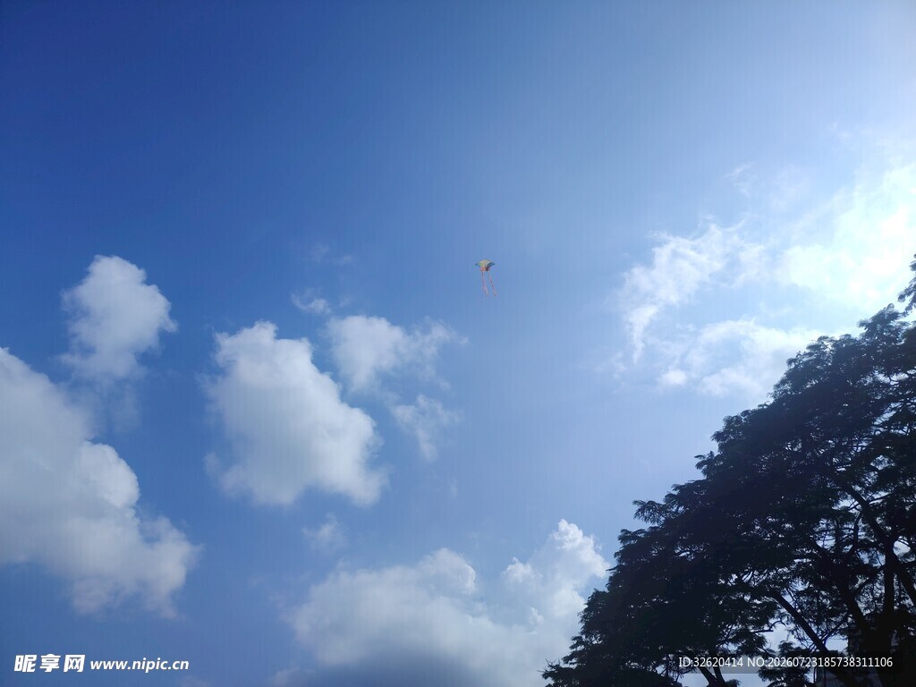 蓝天飘白云与葱郁树木