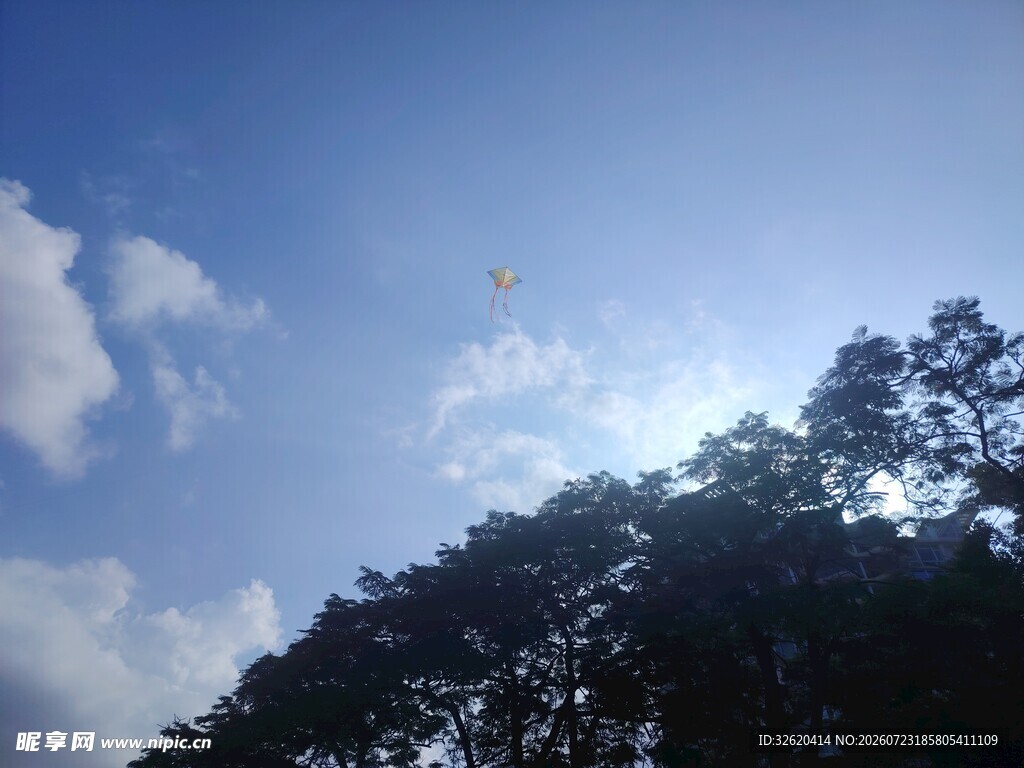 蓝天绿树间的阳光美景