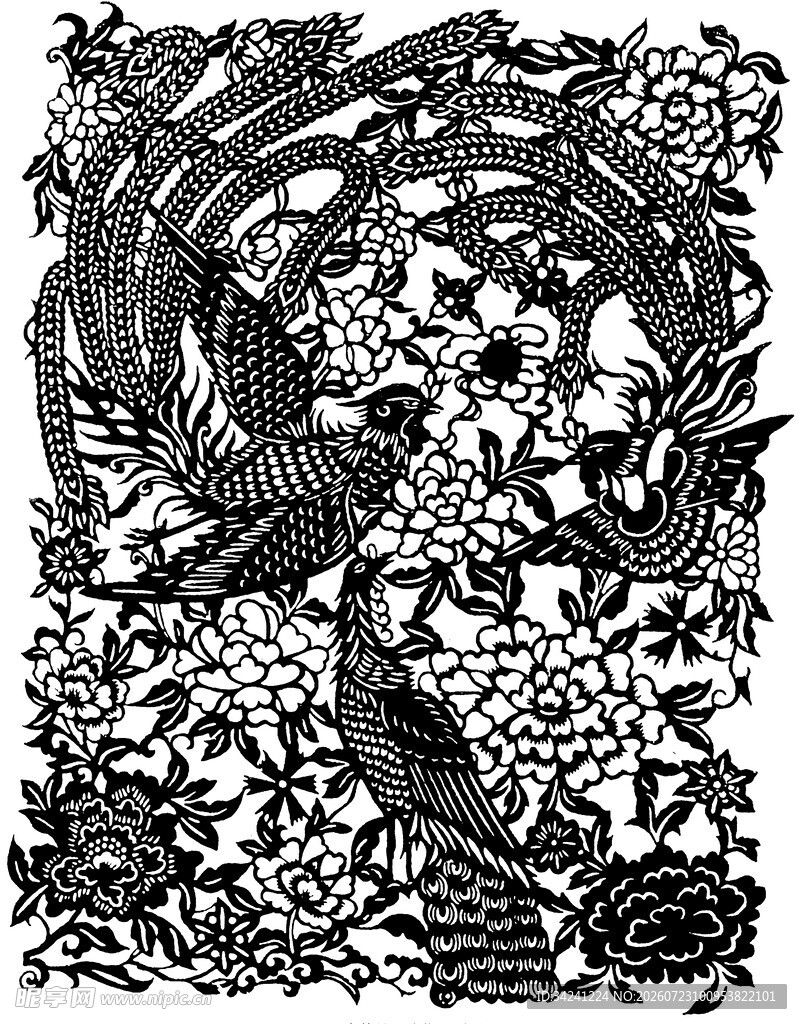 黑白花鸟图案艺术插画