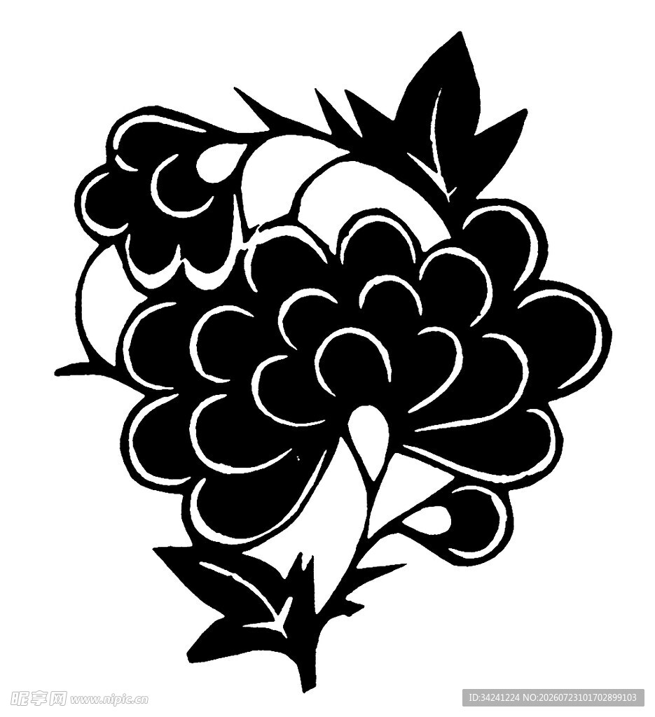 黑白牡丹花卉图案