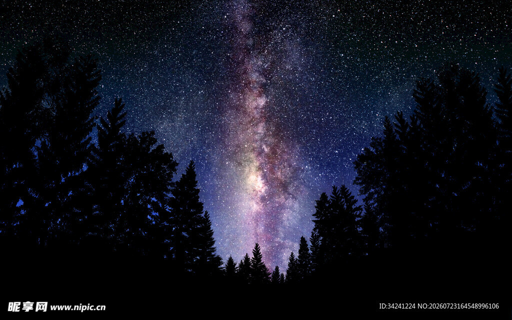 森林上空的璀璨星河