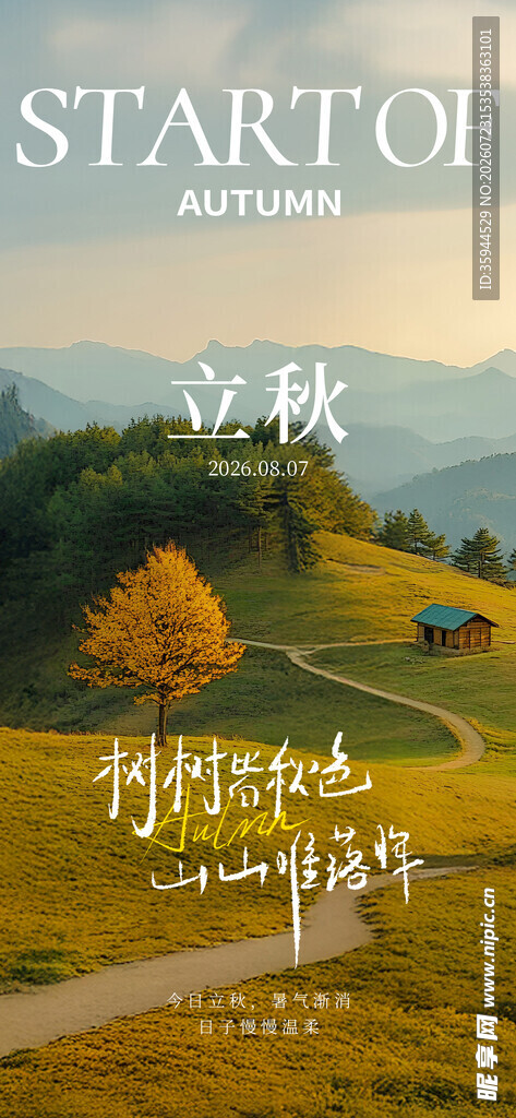 秋日山林间的宁静小路