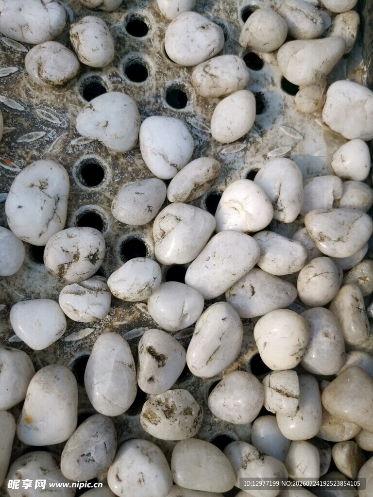 白色鹅卵石特写