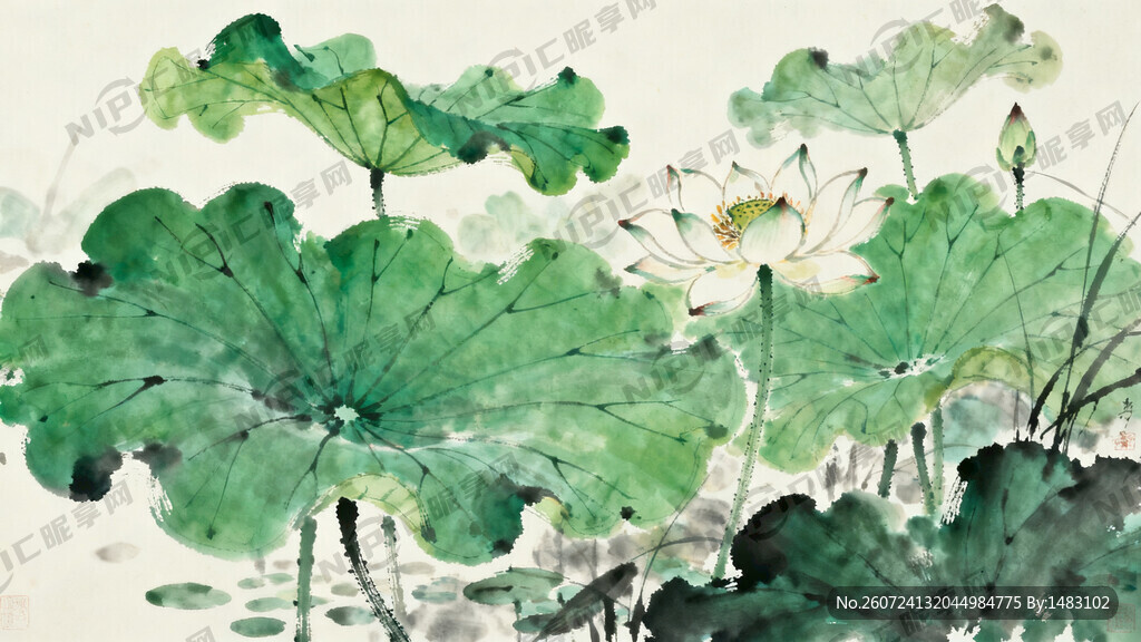 夏日 荷塘 荷叶 荷花 插画