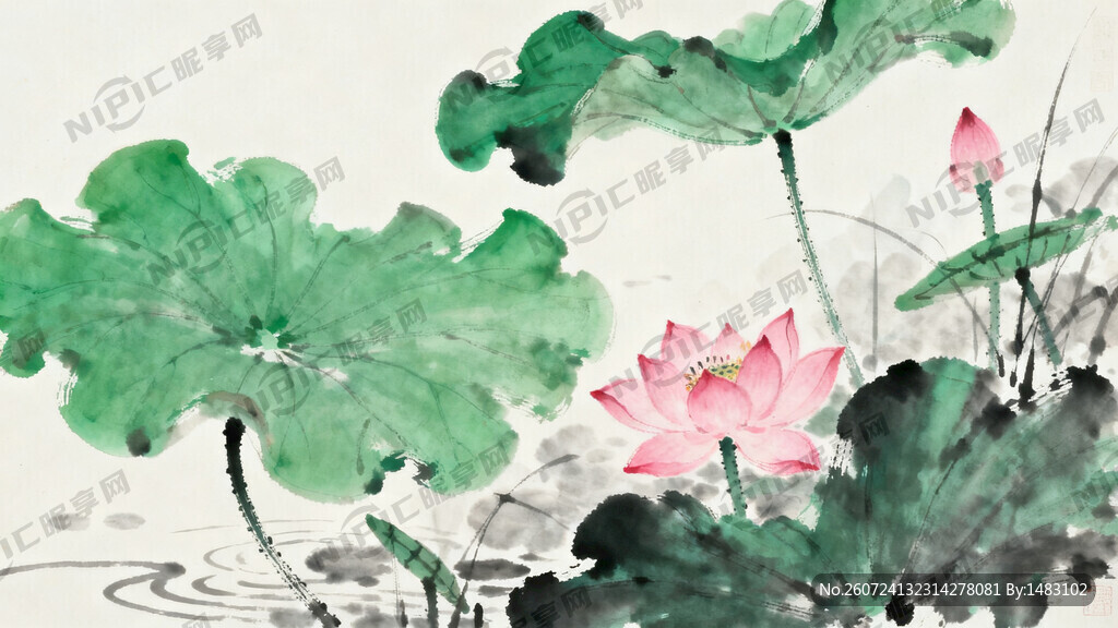 夏日 荷塘 荷叶 荷花 插画
