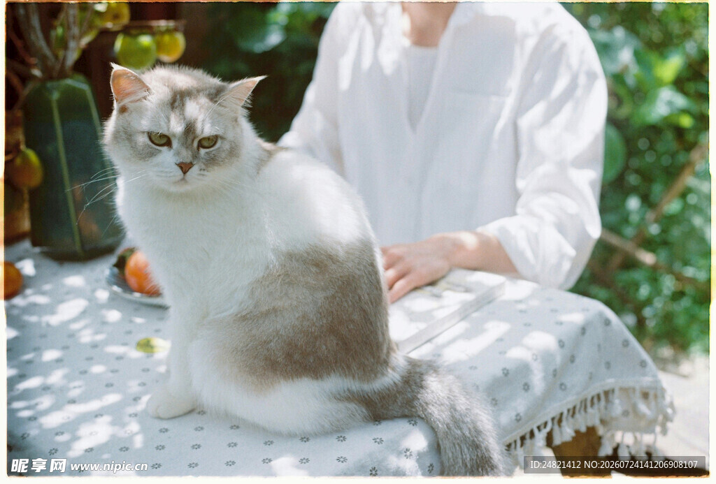 白衣人旁的可爱猫咪