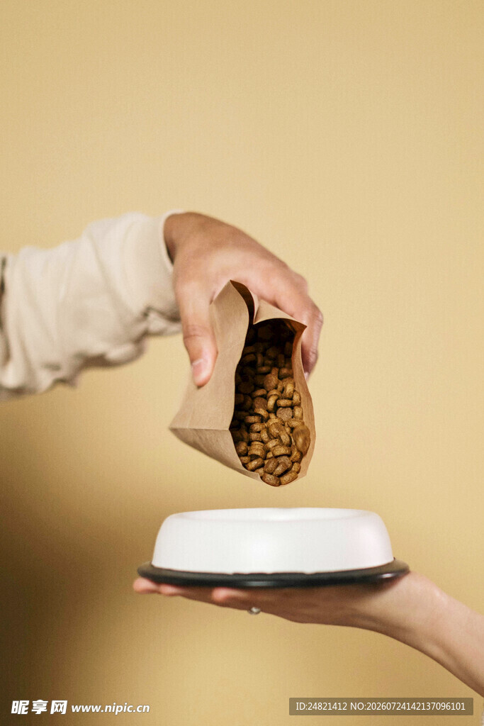 手喂宠物粮至白色食盘