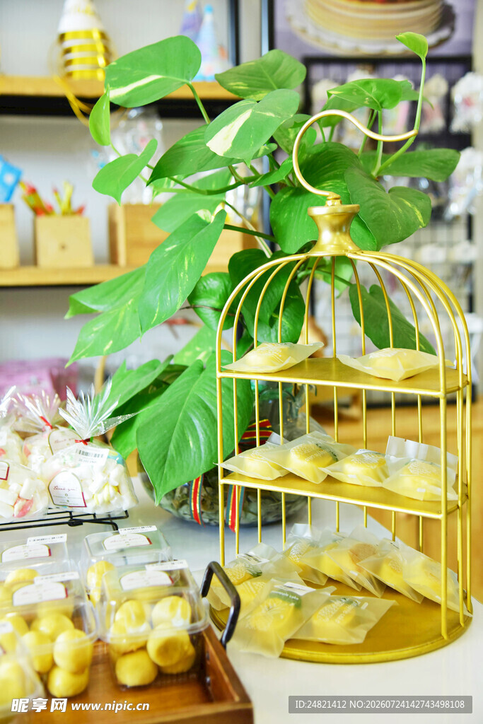 金色鸟笼绿植摆件展示