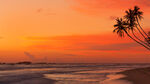 夕阳下的海边椰树美景