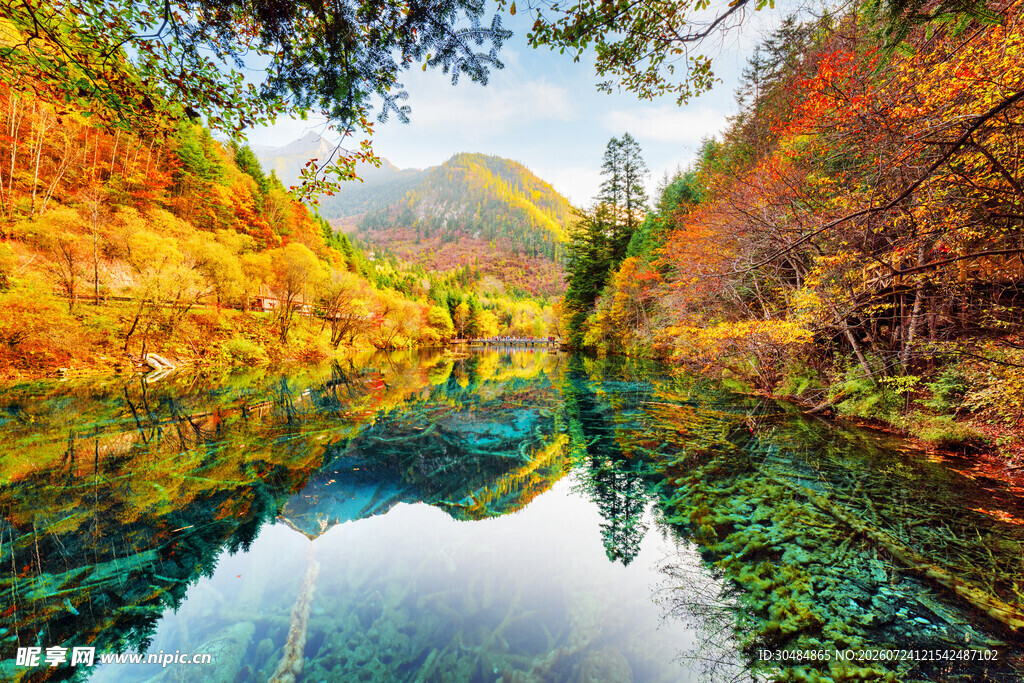 秋日山林中的澄澈湖水