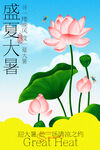 盛夏大暑荷花绽放海报