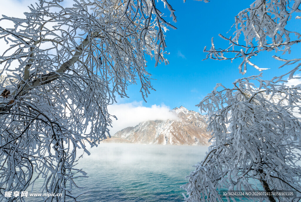 冬日冰雪覆盖的湖岸美景