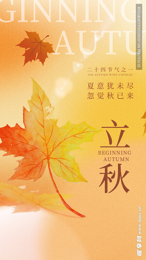 立秋时节的枫叶美景海报