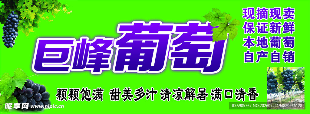巨峰葡萄宣传海报