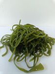 新鲜的海带丝
