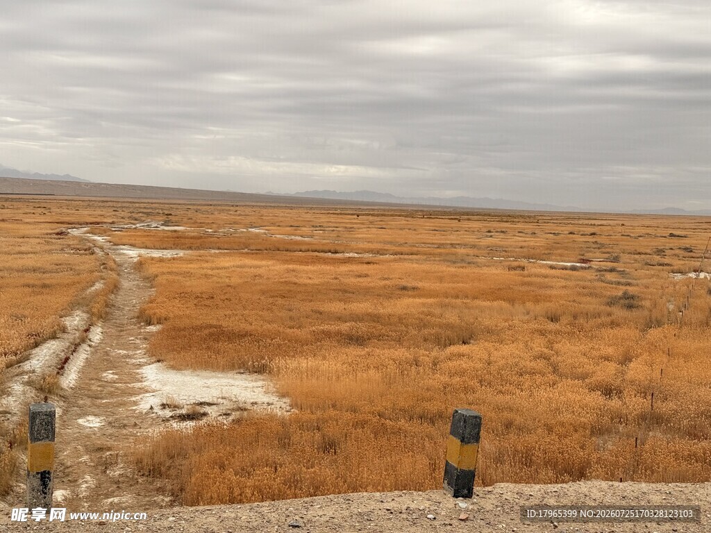 广袤荒原中的道路景观