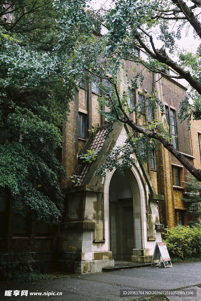 欧式建筑旁的葱郁绿树