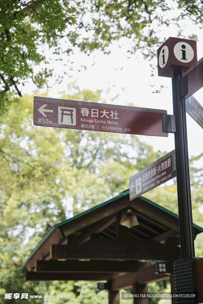 森林中的方向指示路标