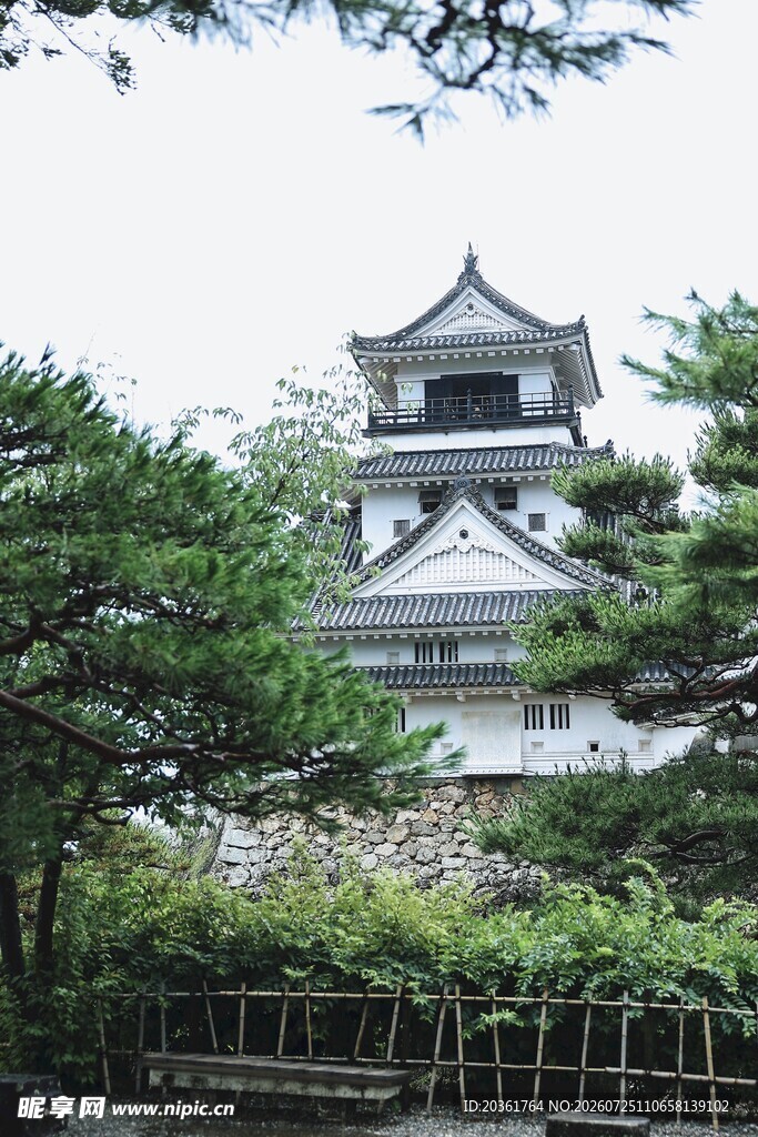 日式古建筑旁的繁茂花木