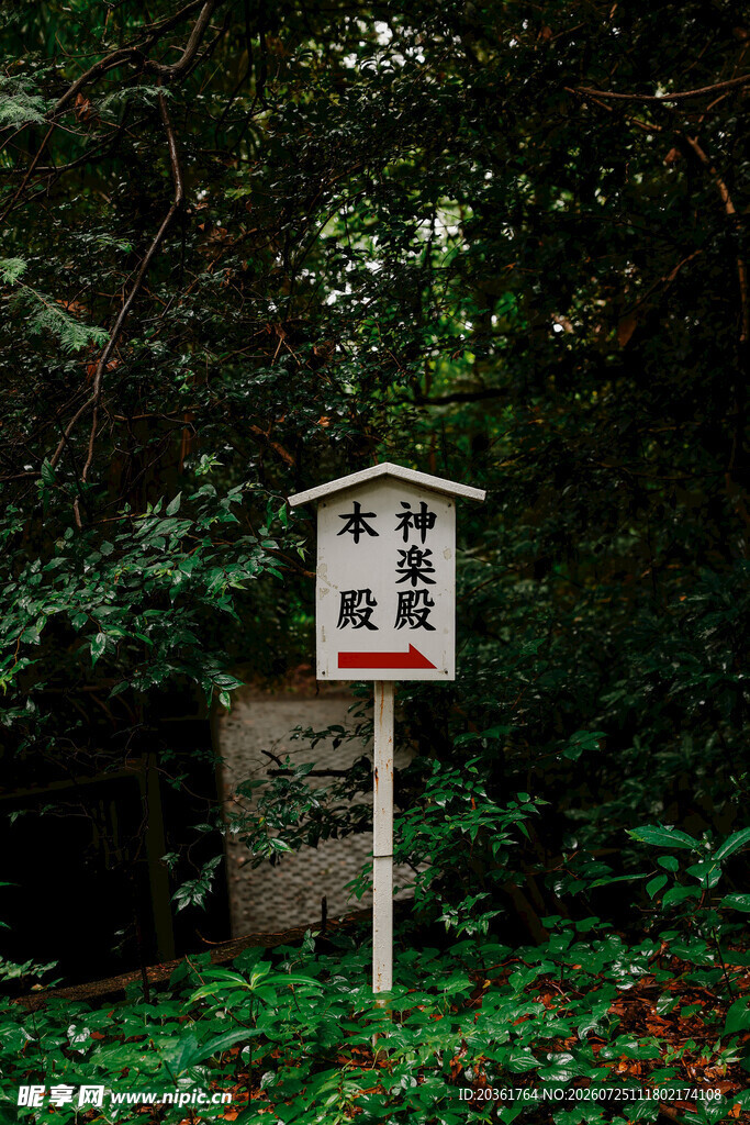 森林中的指示标牌