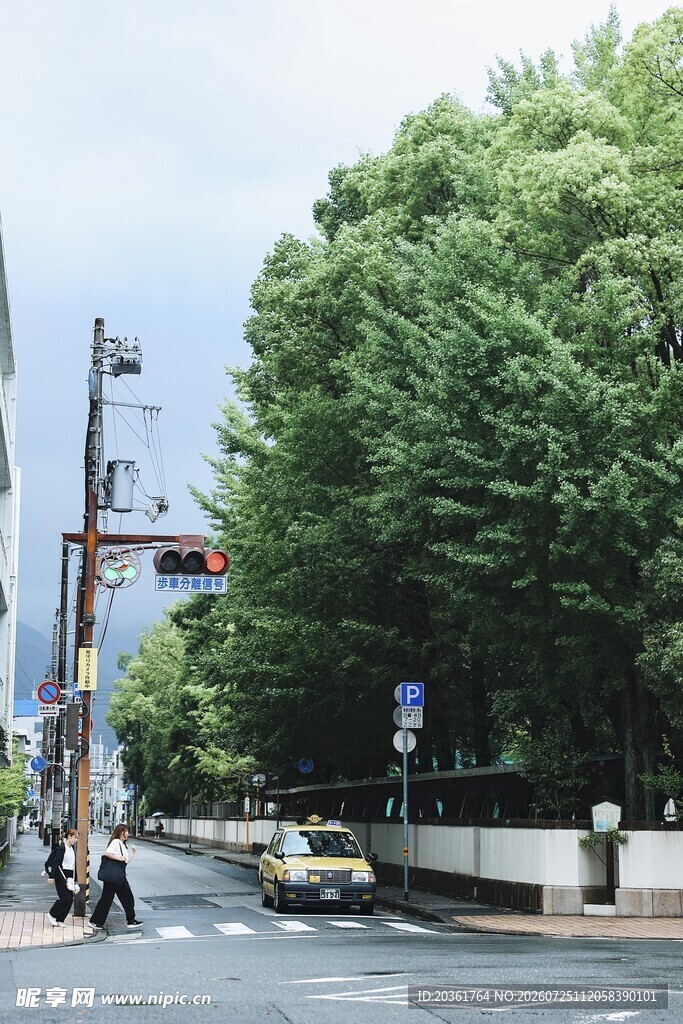 城市街道绿树旁的车辆行人