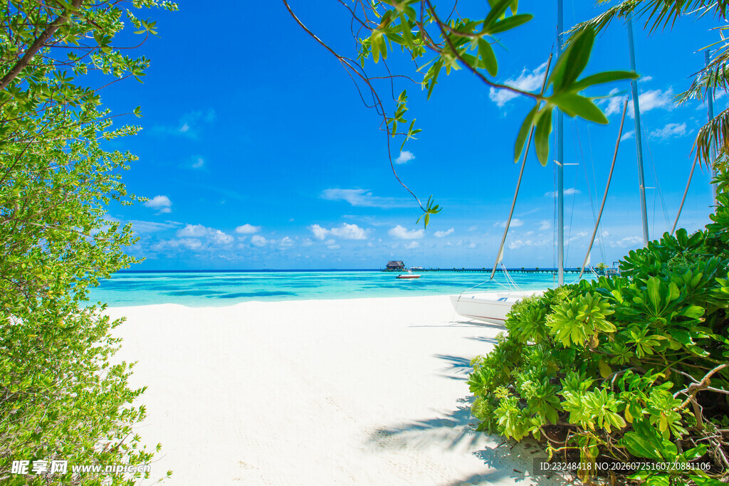 热带海滩美景