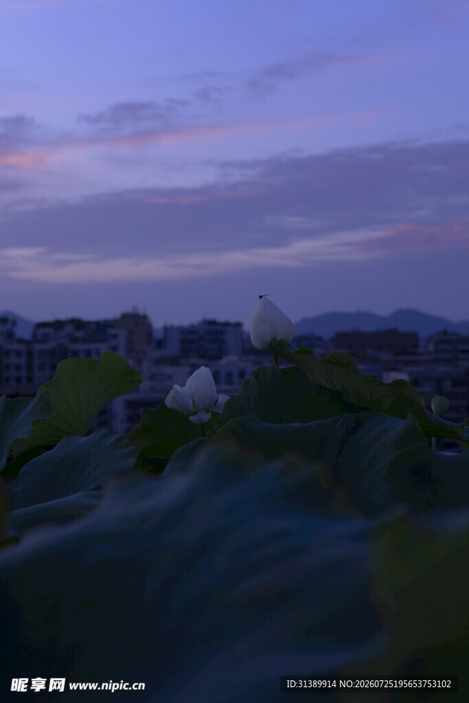 黄昏下的城市与朦胧远山