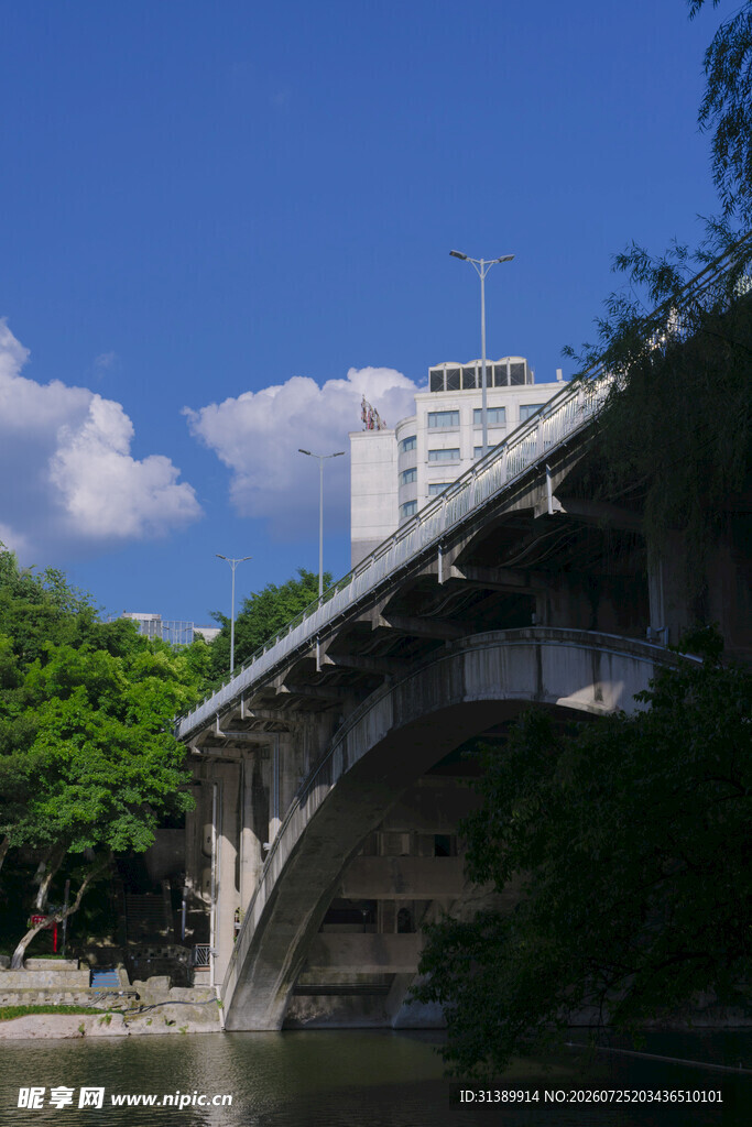 河畔桥梁与葱郁绿树景观