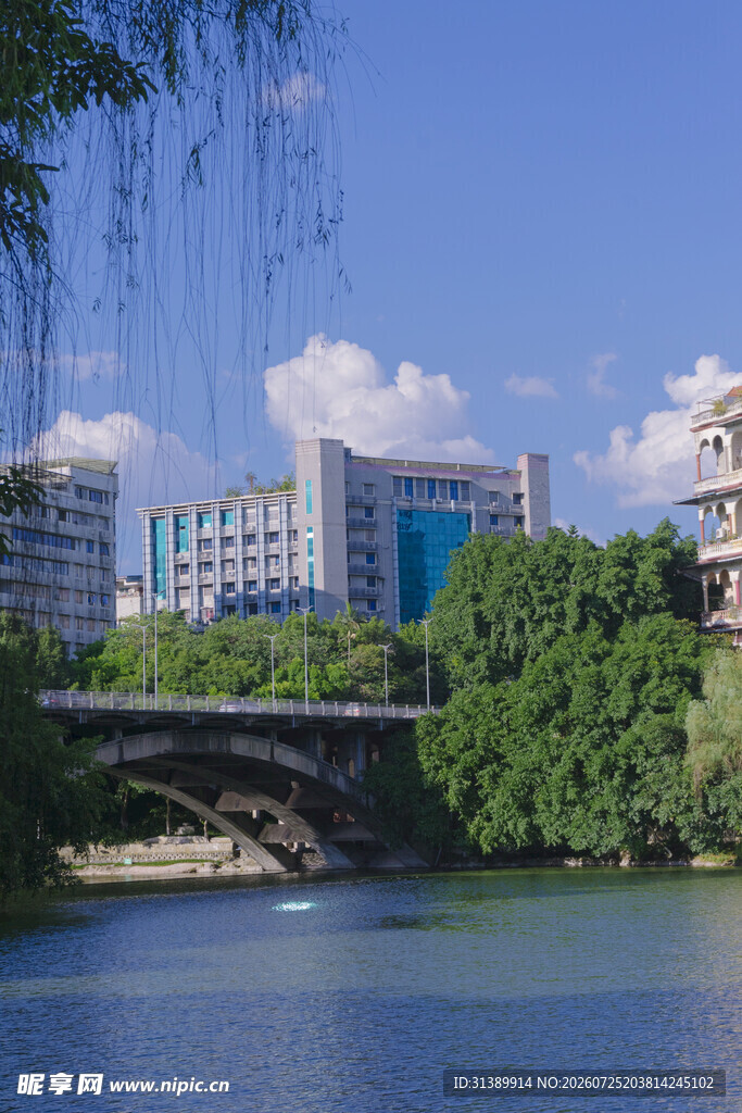 河畔桥梁与城市建筑景观