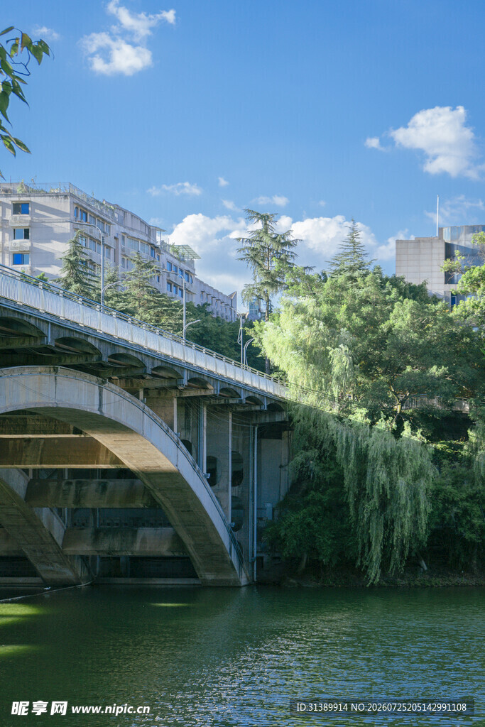 河畔桥梁与城市景致