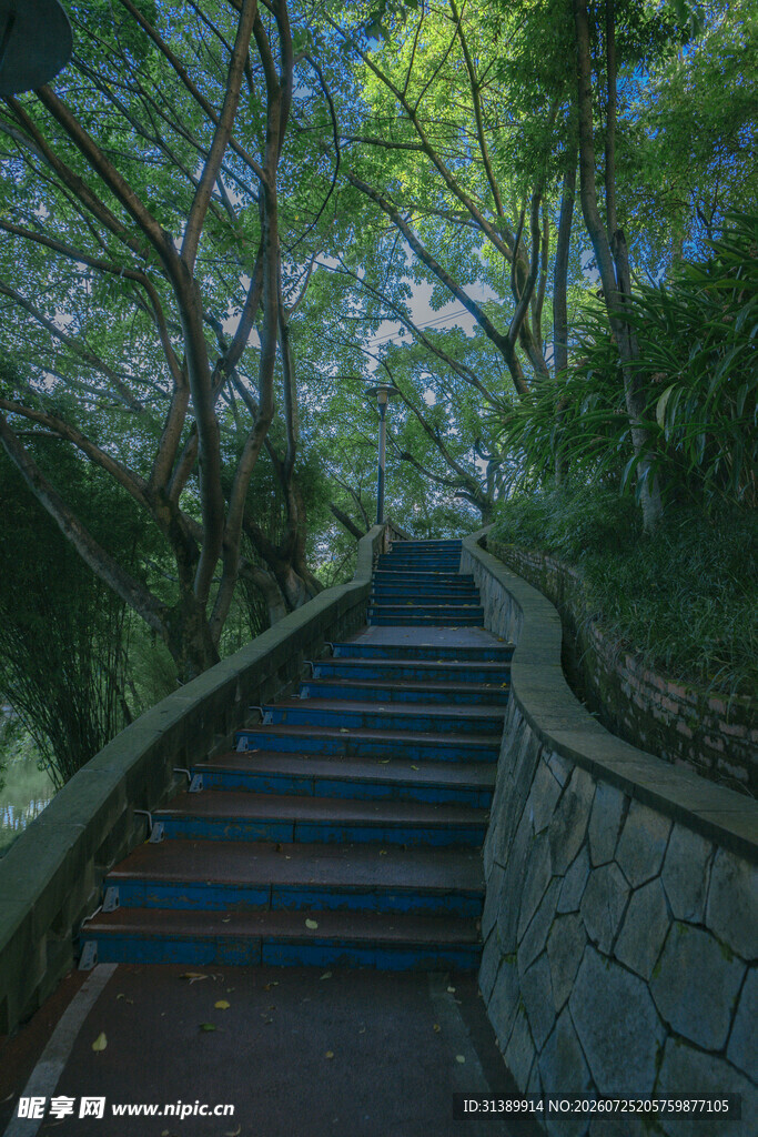 双龙湖公园